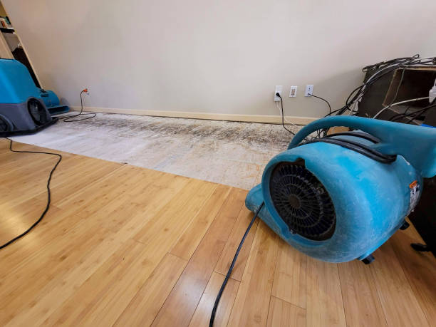 Professional Water Removal technician working in Mulhall, OK